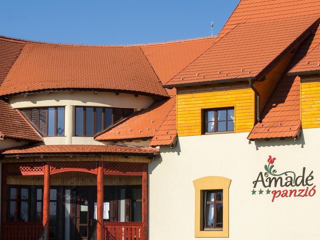 Amade Pension & Restaurant Siculeni Zewnętrze zdjęcie